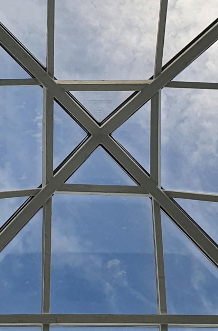 Techo con luz natural en nuestras oficinas Techo con luz natural en nuestras oficinas