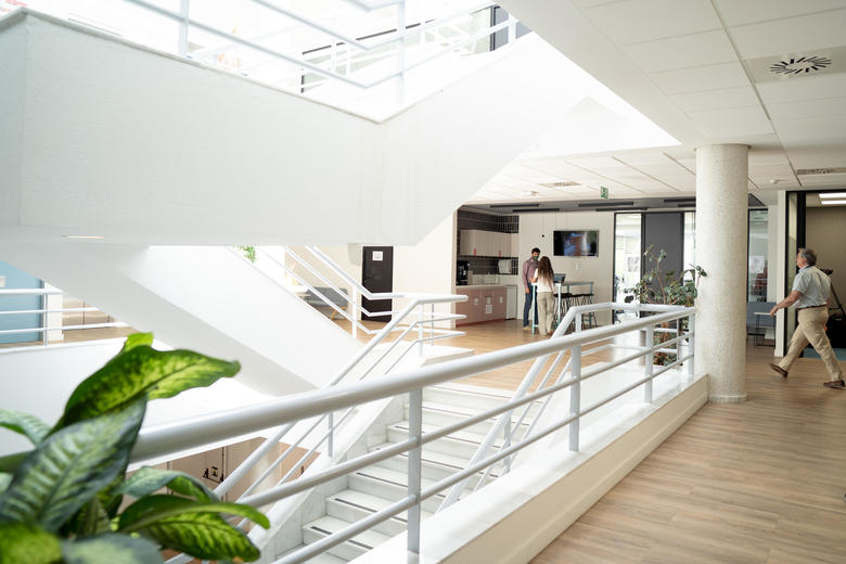 Espacios para colaborar y descansar